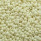 Rocaille 8/0 2021 Matted Opaque Cream 10 gr