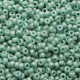 Rocaille 8/0 2028 Opaque Seafoam Luster Matted 10 gr