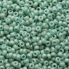 Rocaille 8/0 2028 Opaque Seafoam Luster Matted 10 gr