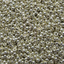 Rocaille 8/0 4201 Duracoat Galvanized Silver 10 gr