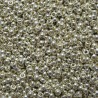 Rocaille 8/0 4201 Duracoat Galvanized Silver 10 gr