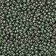 Rocaille 8/0 4215 Duracoat Galvanized Sea Green 10 gr