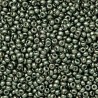 Rocaille 8/0 4215 Duracoat Galvanized Sea Green 10 gr