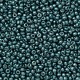 Rocaille 8/0 4217 Duracoat Galvanized Seafoarm 10 gr