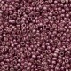Rocaille 8/0 4218 Duracoat Galvanized Dusty Orchid 10 gr