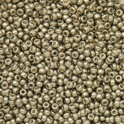 Rocaille 8/0 4221 Duracoat Galvanized Light Pewter 10 gr