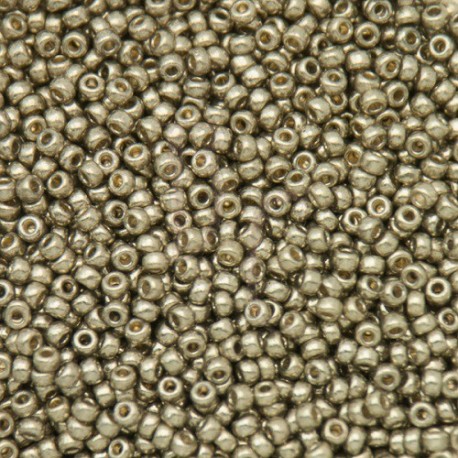 Rocaille 8/0 4221 Duracoat Galvanized Light Pewter 10 gr