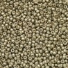 Rocaille 8/0 4221 Duracoat Galvanized Light Pewter 10 gr