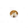 Rivoli Round Stone 1122 12 MM Crystal Golden Shadow