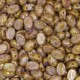 Samos® par Puca® 5x7 mm Opaque Mix Rose / Gold Ceramic Look 10 gr