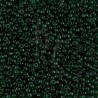 Rocaille 11/0 0156 Transparent Dark Emerald 10 gr