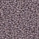 Rocaille 11/0 1062D Galvanized Dusty Mauve 10 gr
