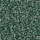 Rocaille 11/0 1456 Dyed Silver Lined Lichen 10 gr