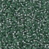 Rocaille 11/0 1456 Dyed Silver Lined Lichen 10 gr