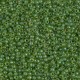 Rocaille 11/0 1926 Semi-Matte Pea Green Lined Chartreuse 10 gr