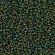 Rocaille 11/0 2020 Mattte Metallic Green Iris 10 gr