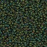 Rocaille 11/0 2020 Mattte Metallic Green Iris 10 gr