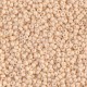 Rocaille 11/0 2022 Matte Opaque Antique Beige 10 gr