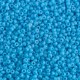 Rocaille 11/0 0413 Opaque Turquoise Blue 10 gr