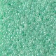 Rocaille 11/0 0520 Mint Green Ceylon 10 gr