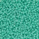 Rocaille 11/0 0412L Light Turquoise Green Opaque 10 gr
