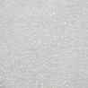 Rocaille 11/0 0528 White Ceylon 10 gr