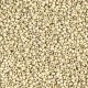 Rocaille 15/0 4201F Matte Galvanized Silver 10 gr