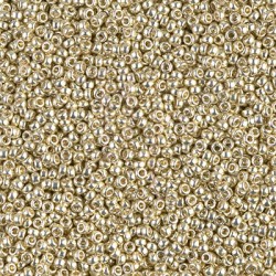 Rocaille 15/0 4201 Duracoat Galvanized Silver 10 gr