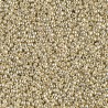 Rocaille 15/0 4201 Duracoat Galvanized Silver 10 gr
