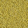 Rocaille 15/0 4205 Duracoat Galvanized Zest 10 gr