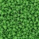 DB0724 - Opaque Green 50 gr