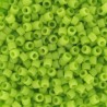 DB0763 - Mat Opaque Chartreuse 50 gr