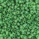 DB0877 - Mat Opaque Green AB 50 gr