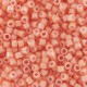 DB1363 - Dyed Opaque Salmon 50 gr