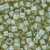DB2052 - Luminous Asparagus Green 50 gr