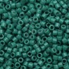 DB2131 - Duracoat Opaque Eucalyptus 50 gr