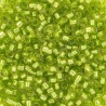 DB0147 - Silver Lined Chartreuse - 50 gr