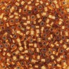 DB0181 - Silver Lined Light Bronze - 50 gr