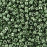 DB0413 - Galvanized Moss Green 50 gr