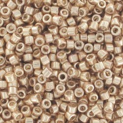 DB0433 - Galvanized Champagne 50 gr