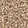 DB0433 - Galvanized Champagne 50 gr