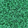 DB0655 - Dyed Opaque Kelly Green 50 gr