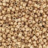 DB1152 - Galvanized Semi Mat Champagne 50 gr
