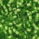 DB1206 - Silver Lined Lime 50 gr