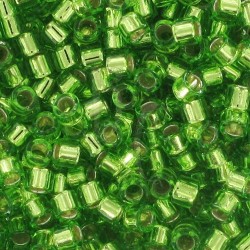 DB1206 - Silver Lined Lime 50 gr