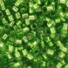 DB1206 - Silver Lined Lime 50 gr