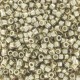 DB1831 - Duracoat Galvanized Silver 50 gr
