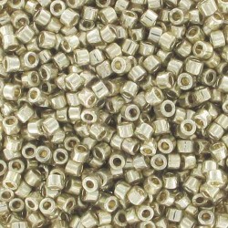DB1831 - Duracoat Galvanized Silver 50 gr