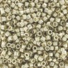 DB1831 - Duracoat Galvanized Silver 50 gr