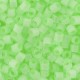 DB1858 - Silk Inside Dyed Mint Green 50 gr